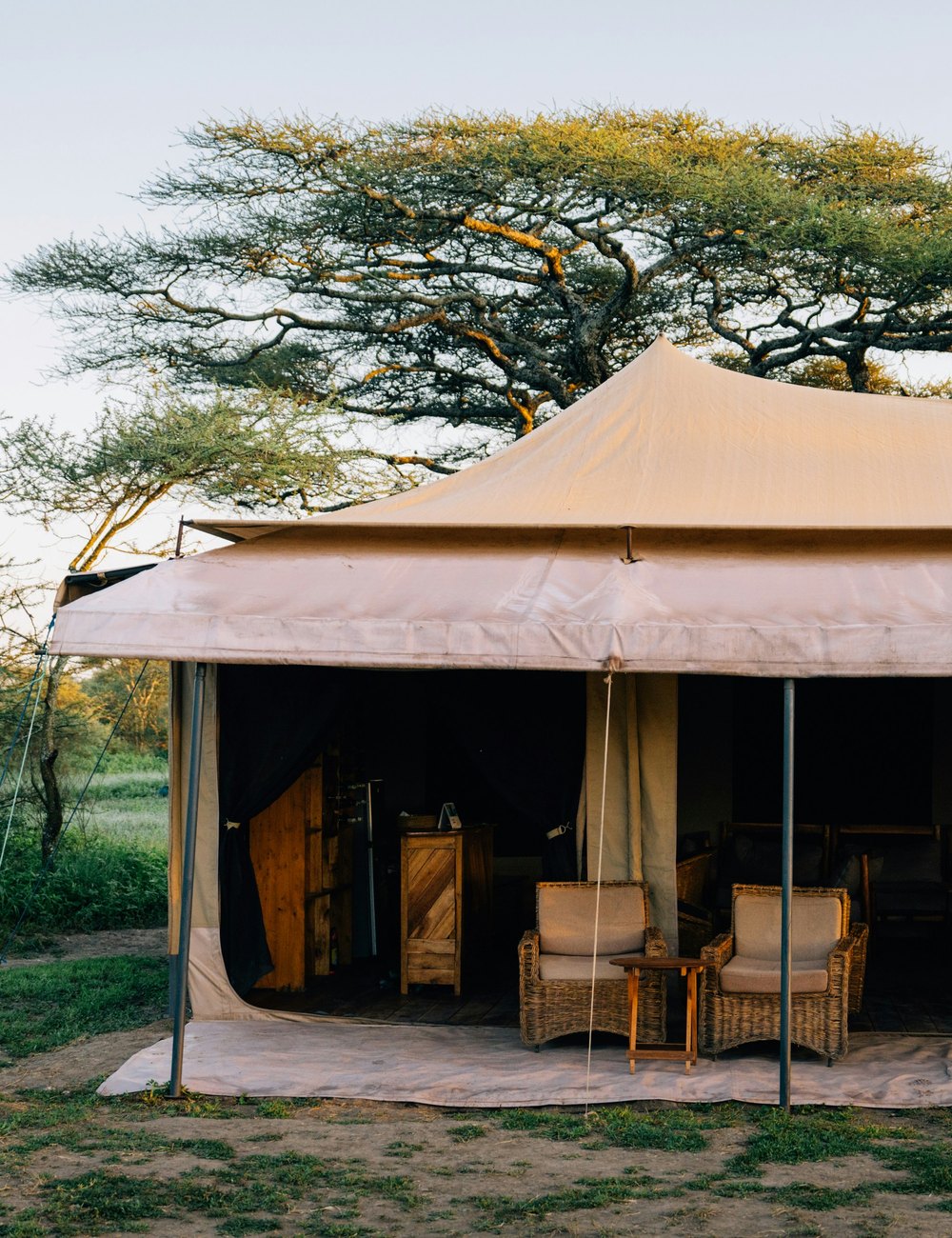 Luxury safari lodge deck overlooking wilderness for a signature private safari