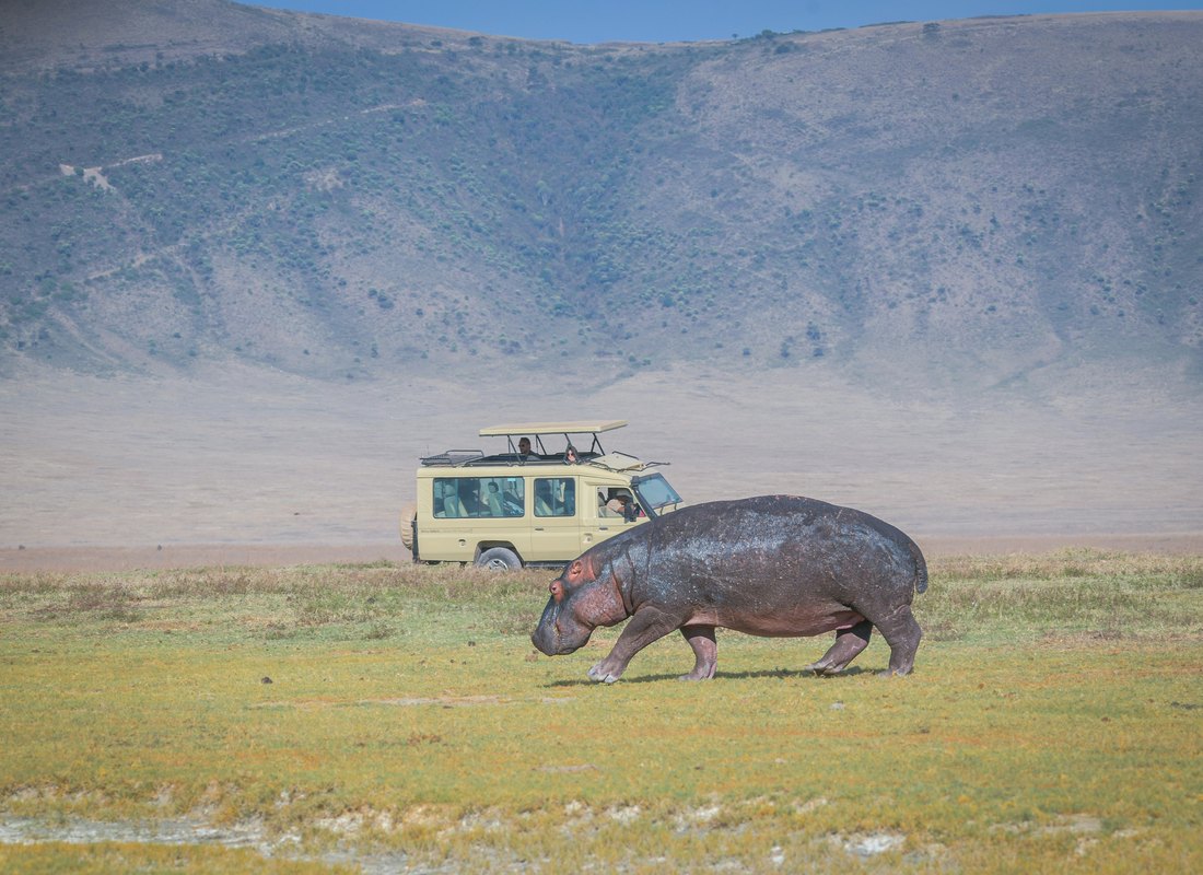 Tanzania safari landscape including Serengeti and Ngorongoro Crater